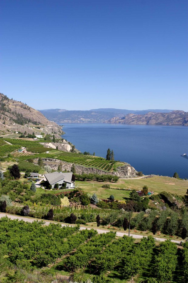 Bc Okanagan