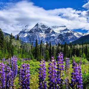 photo VANESSA VALENTINE @v_valentine_ Mount Robson.jpg