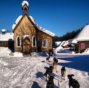 photo JOSH MACKENZIE @trouthustler - Dogsledding, Main Street, Quesnel.jpg