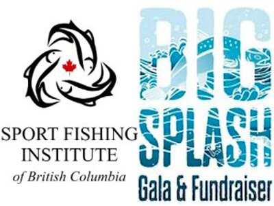 2015 Conference &amp; Big Splash Fundraiser Nov. 27