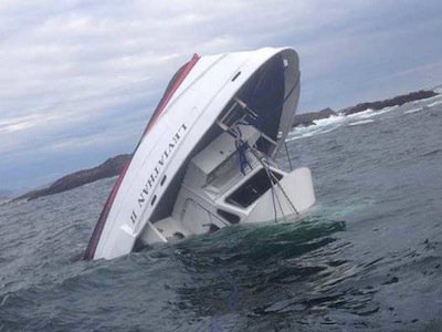 Rogue wave may have capsized Whale-Watching Boat