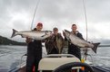 A matching set of Chinook salmon at Langara Fishing Lodge