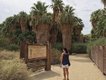 Thousand Palms Oasis Preserve photo Perry Mack IMG_0613.jpg