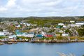 1 Newfoundland by John Volc.JPG