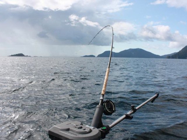 Vancouver &amp; area salt water fishing report