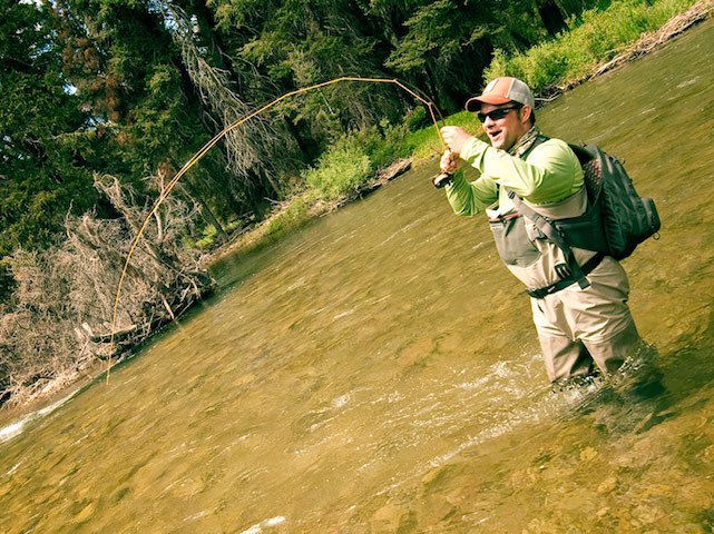 Oh, the world of fast fly rods ...