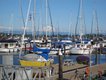 Semiahmoo Marinadebbieharger.jpg