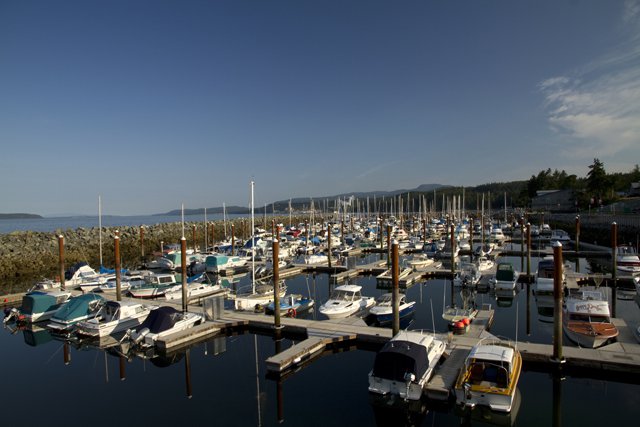 westview marina copy.jpg