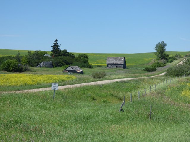 roads through batoche area.JPG