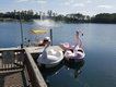20160419_163659photo courtesy Flamingo Lake Resort.jpg