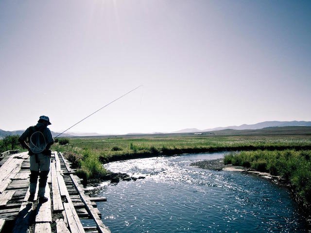 8 Tips for Figuring out the Trout