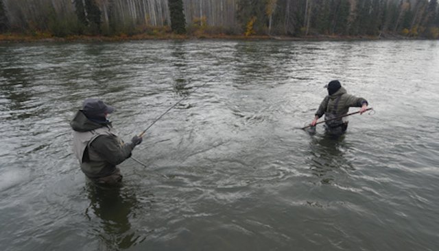 Preparing-to-land-a-steelhead-on-the-BR-insideblog.jpg