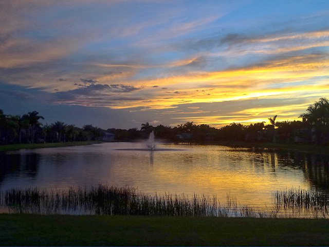 silver-palms-sunset-over-lake.jpg