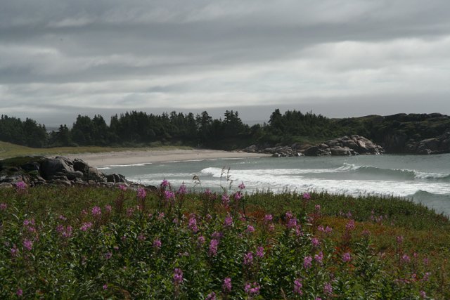 QB North Shore Hwy-Sandy beach James Stoness.JPG