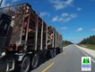 06 logging trucks near Swan River_dharrison.jpg