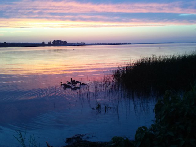Sunset Ducks.jpg