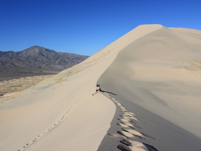 Kelso Sand Dune