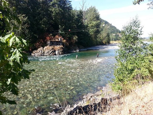 Chilliwack/Vedder River Report