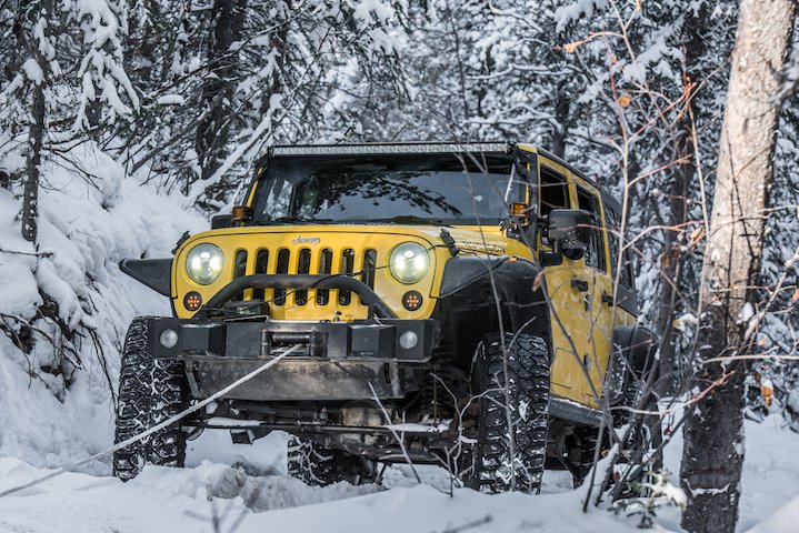 Jeep in the trees - Philip Cote ( owner Brad Macdonald)  (1 of 1).jpg
