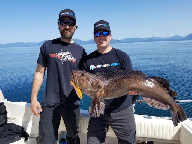 Monster ling caught off Tofino