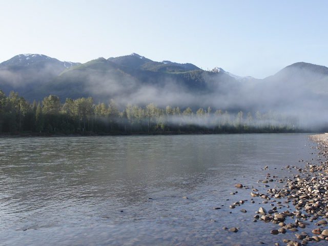 Skeena Nass Rivers closed to all salmon fishing SunCruiser