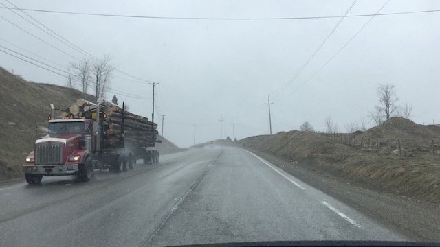 Logging trucks coming our way photo Perry Mack.jpg