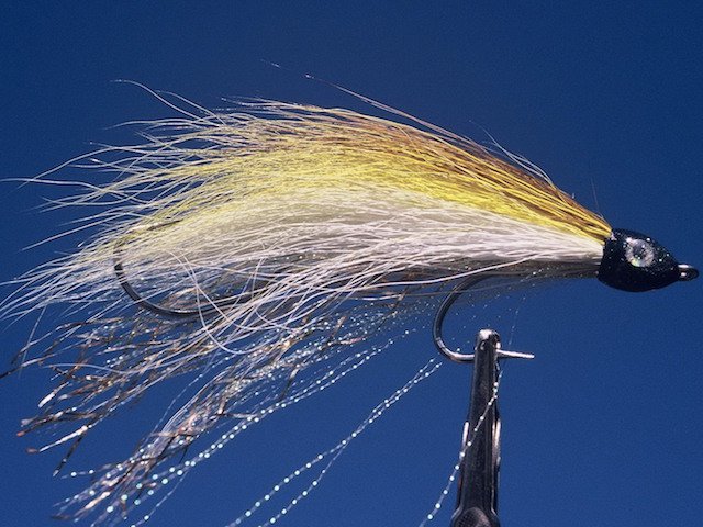 A yellow and white bucktail often produces best on bright, sunny days photo David Kimble.jpg