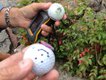 3 fake golf balls caches.jpg