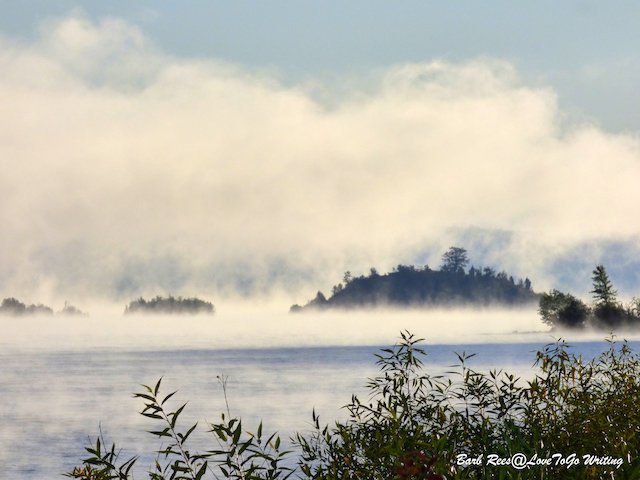 fraser lake fog.jpg