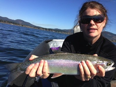 Island Outfitters Rainbow Trout