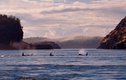 San Juan Islands whales Photo Jim Maya Photography.jpg