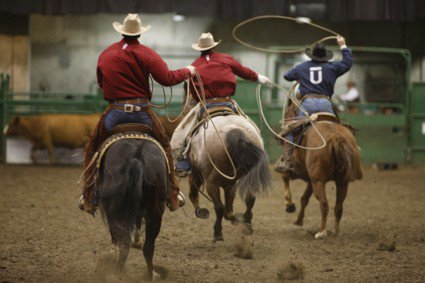 Edmonton Farmfair