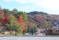 EL Autumn colours In town JStoness 9577.JPG