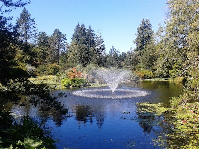 VanDusen Botanical Display Gardens and Queen Elizabeth Park, The Two ...