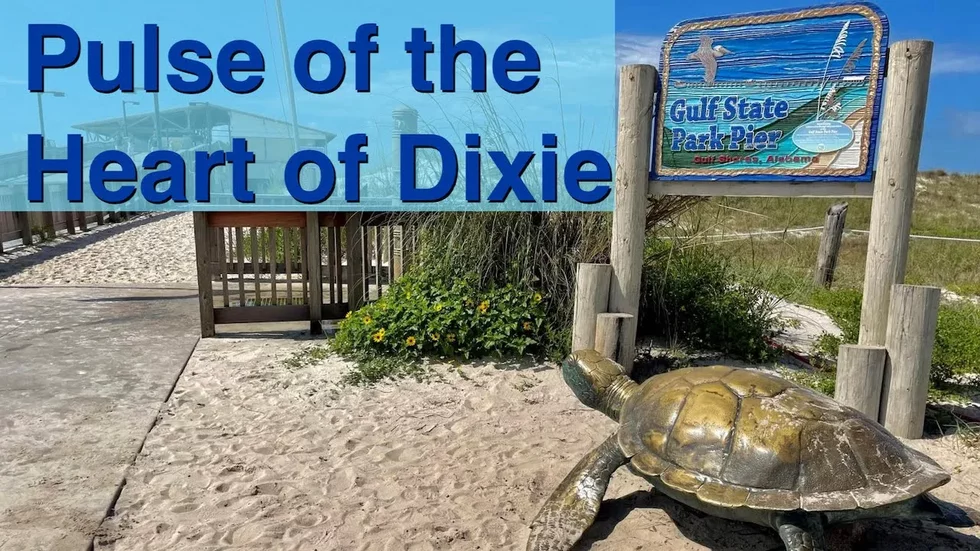 S01 - E19 Gulf Shores State Park - The Pulse of the Heart of Dixie