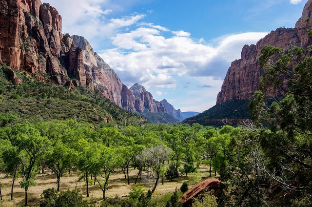 Lead Zion National Park Photo. Lush Greenery in one of the Valleys at Zion Credit Zach Betten-WN8kSLy8KMQ-unsplash copy.jpg