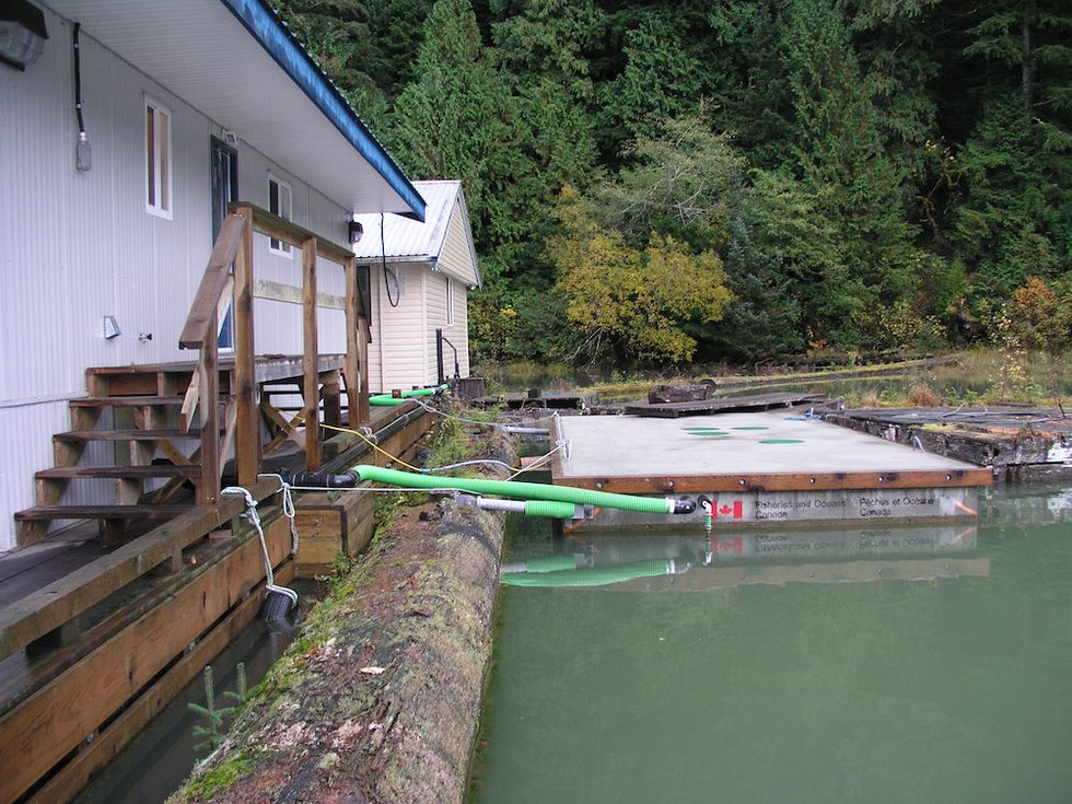2 Go Green WW Photo courtesy Fisheries and Ocean Canada's Stock Assessment Floating Camp copy.jpg