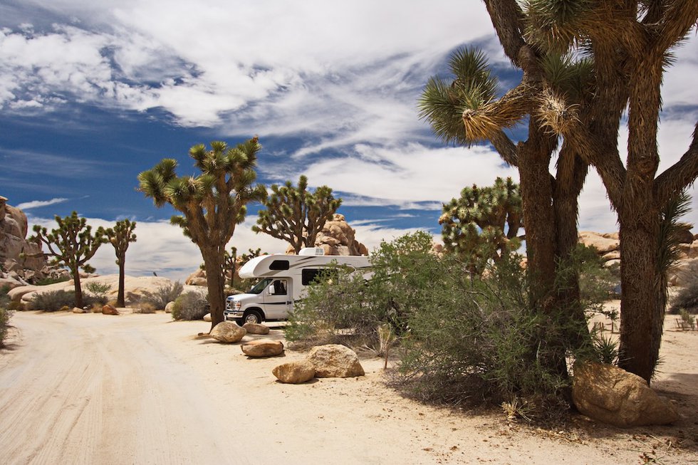 News - Joshua Tree RV & Campground : Joshua Tree RV & Campground