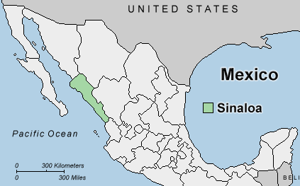 Travel Sinaloa Region in Mexico - SunCruiser