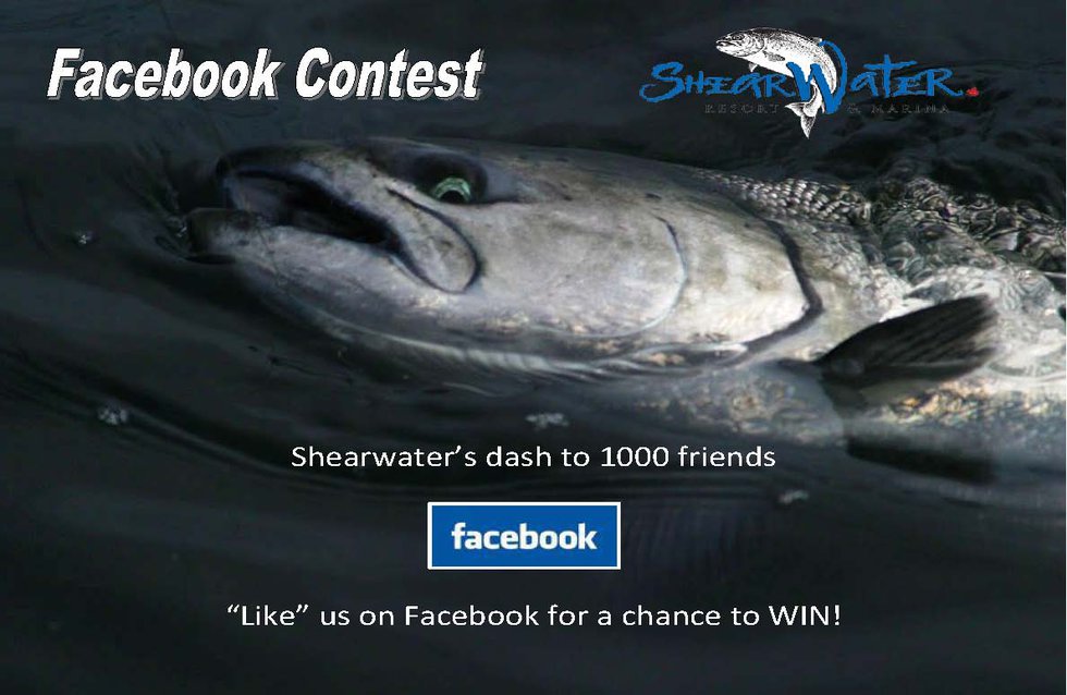 Shearwater Facebook Contest