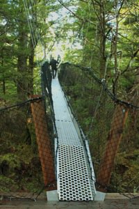 Suspension Bridge to Canopy Viewing Tower.jpg