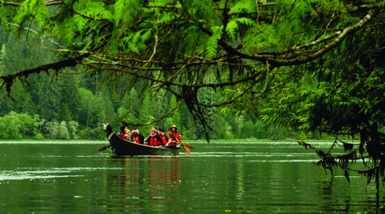Canoe Under Cedar Branch.jpg