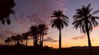 SVRV sunset with palm trees - photo Bob Lewis.jpg