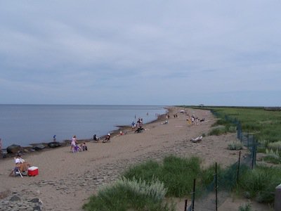 Bouctouche dunes photo Barb Rees.jpg