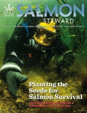 Salmon Steward Newsletter