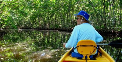 Collier-Seminole_2010 contest_Benjamin Carp_Canoeing on the Black River.jpg