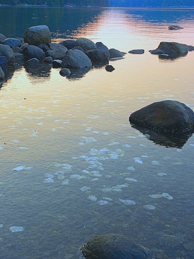 Okeover oysters at sunset.jpg