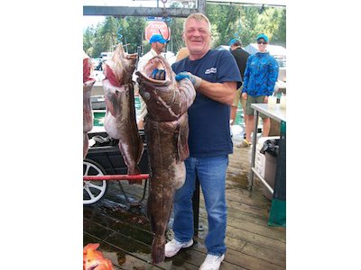 Largest Ling Cod of the Season