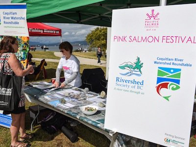Pink Salmon Festival